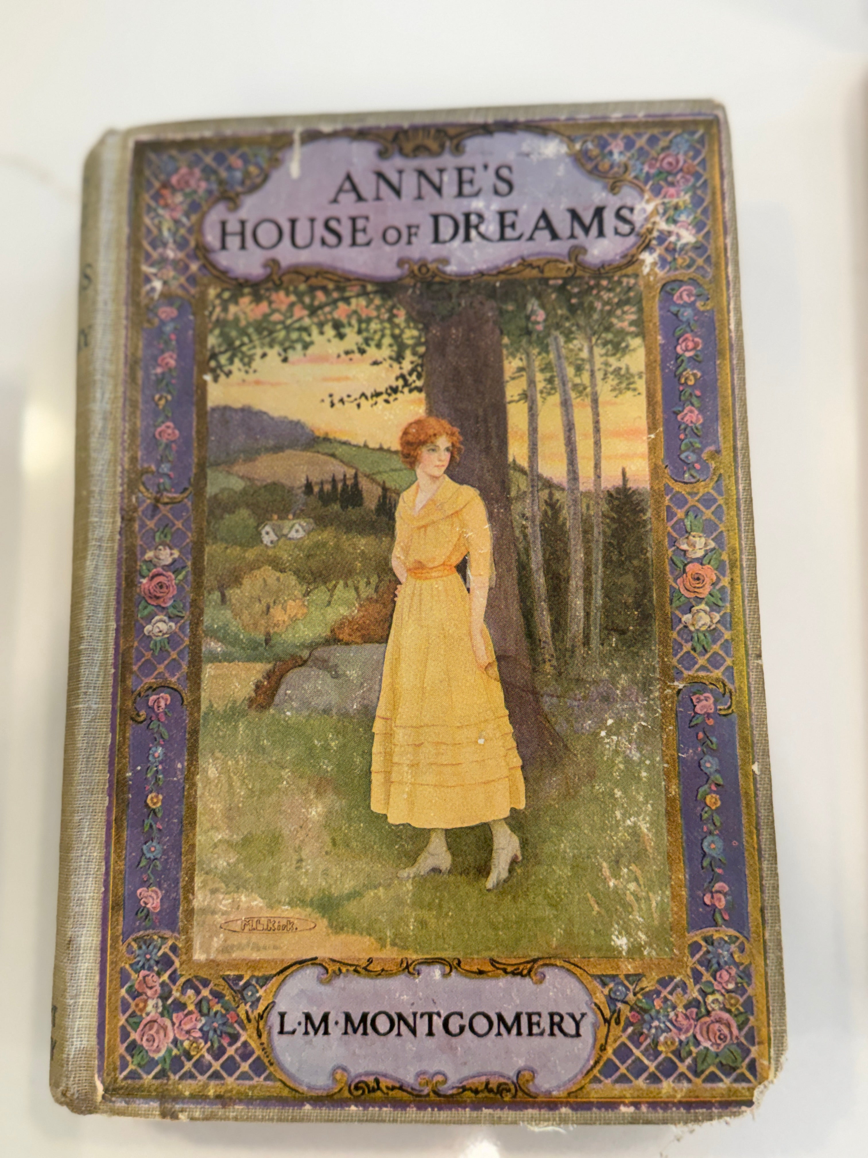 Custom 21 - Anne’s House of Dreams