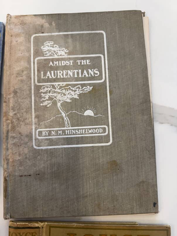 Custom 1 - Amidst the Laurentians