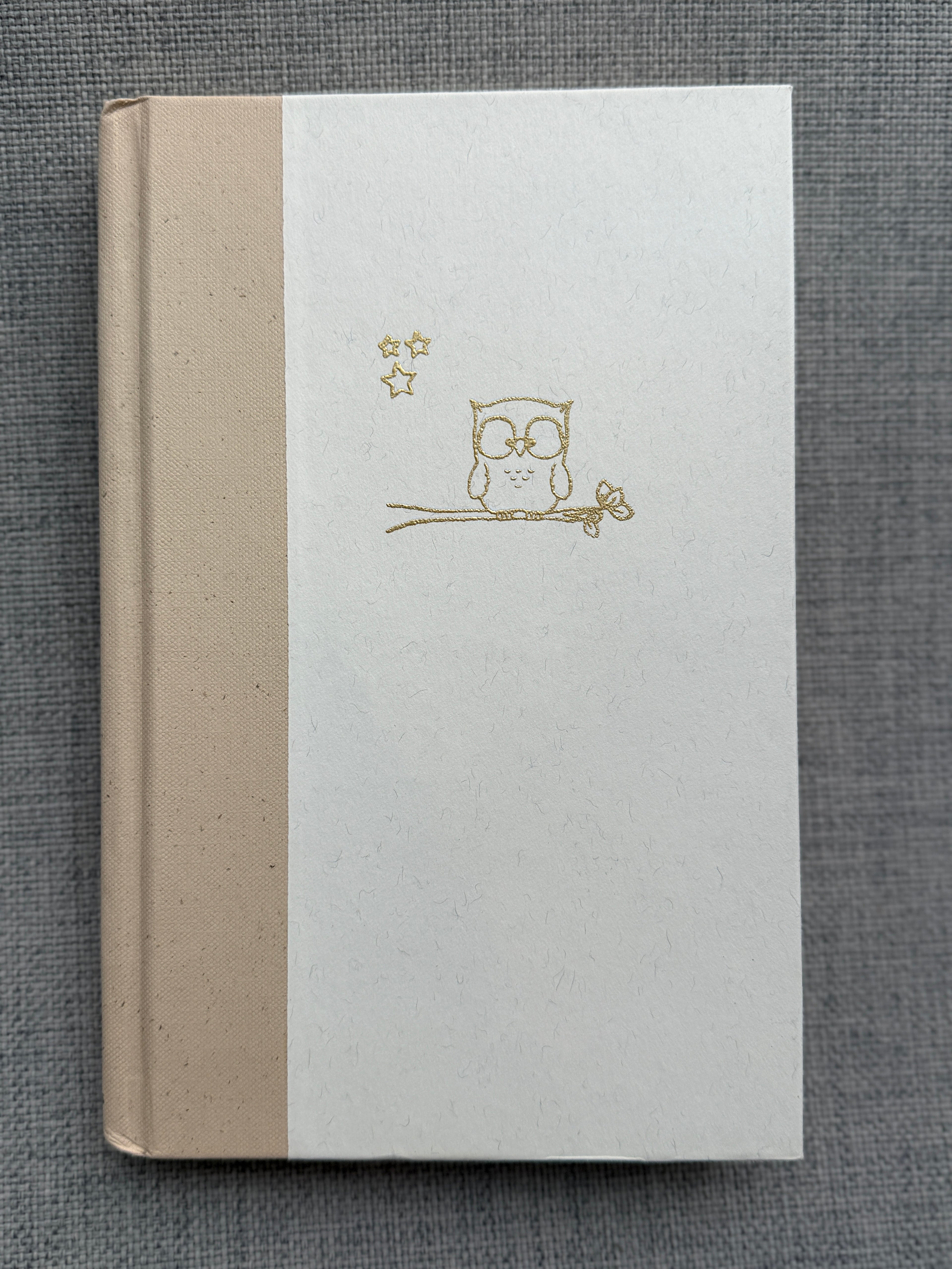 C2 - 44 Wesley the Owl