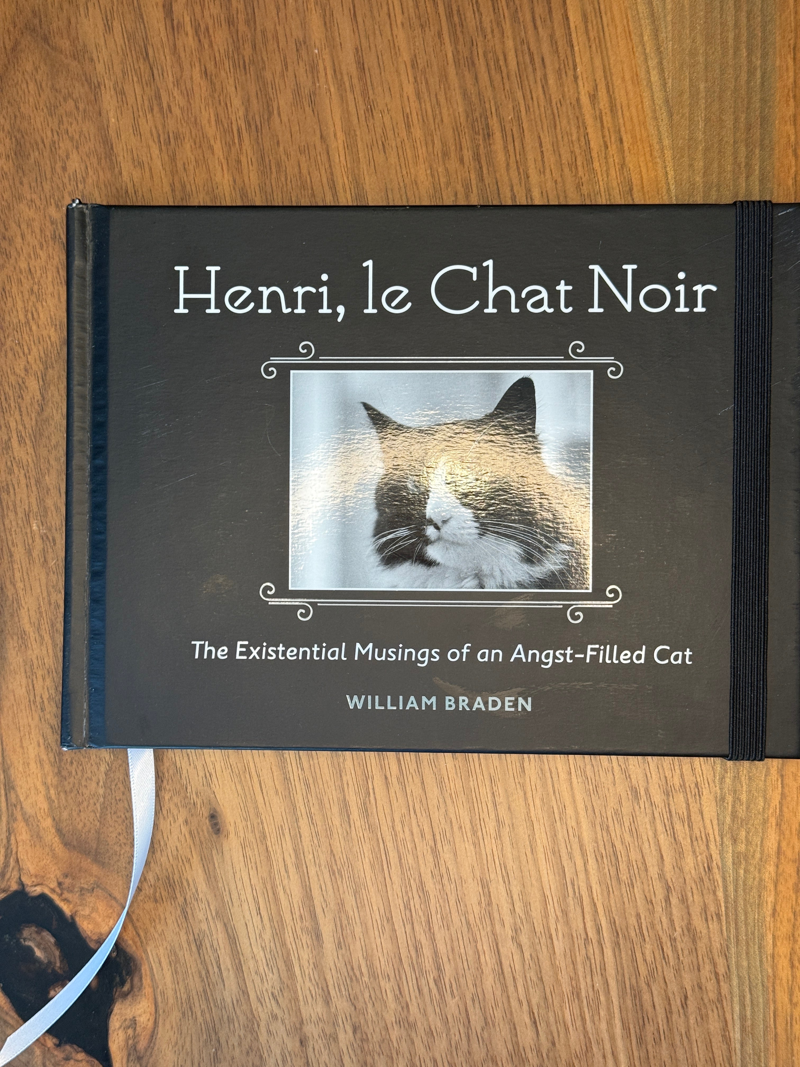 B3 - 05 Henri, le Chat Noir - 2013 - Arches