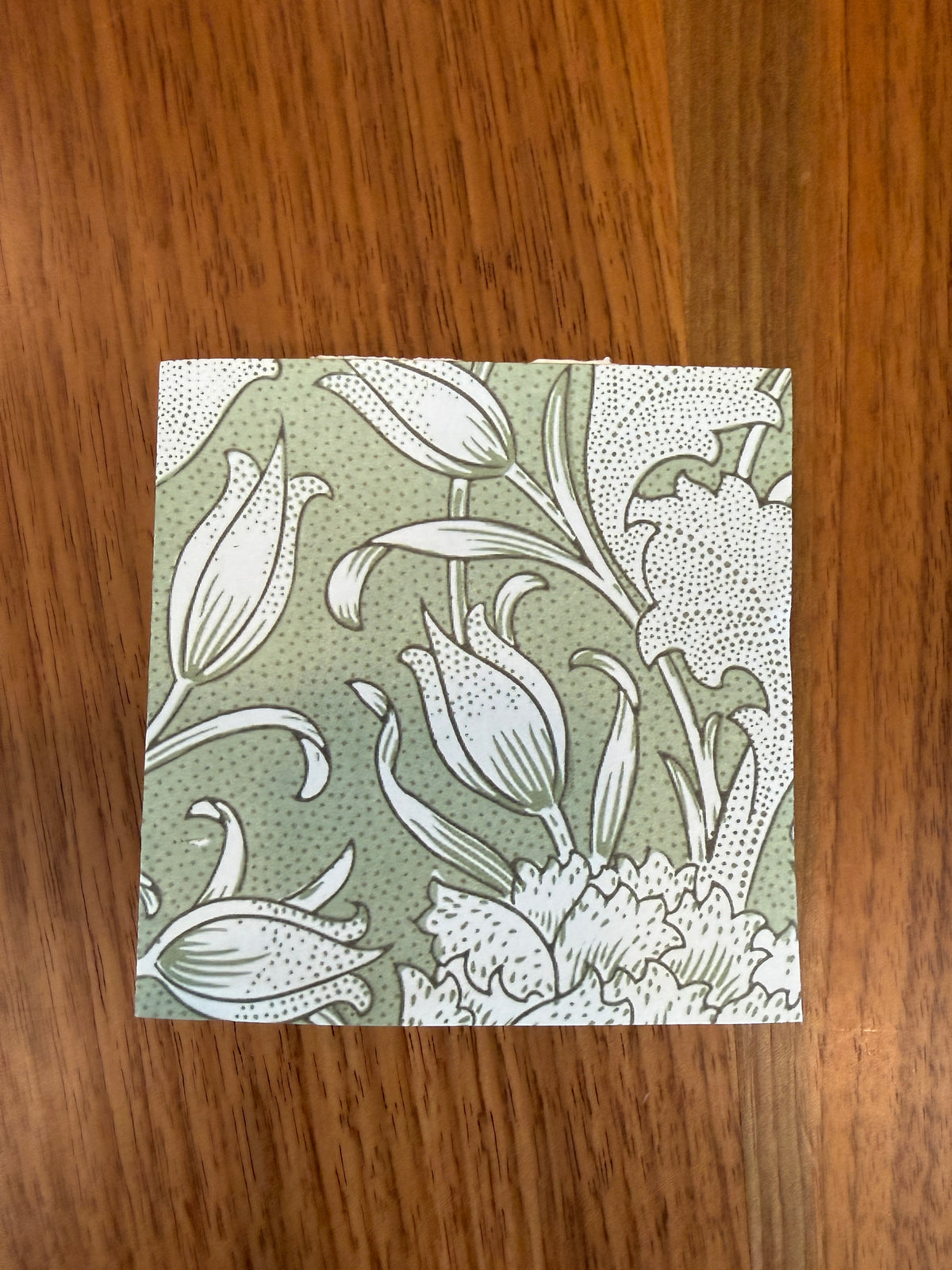 LL9 - Little Leaf Sage & Lace