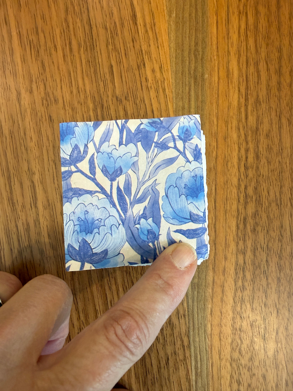 LL2 - Little Leaf Bluebell (Saint Armand Paper - 2" x 2")