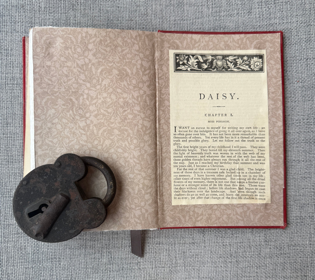 C1-34 Daisy