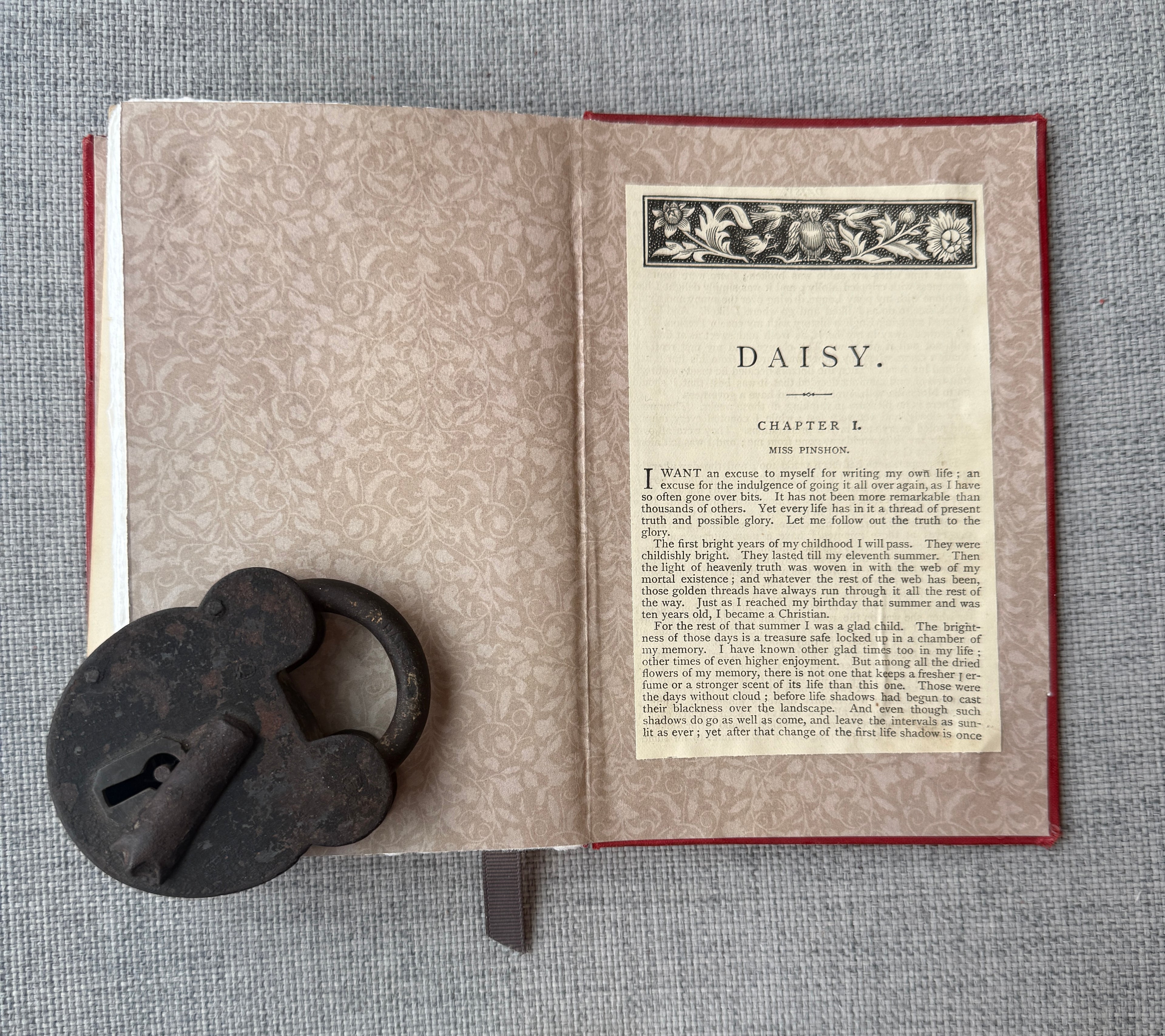 C1-34 Daisy