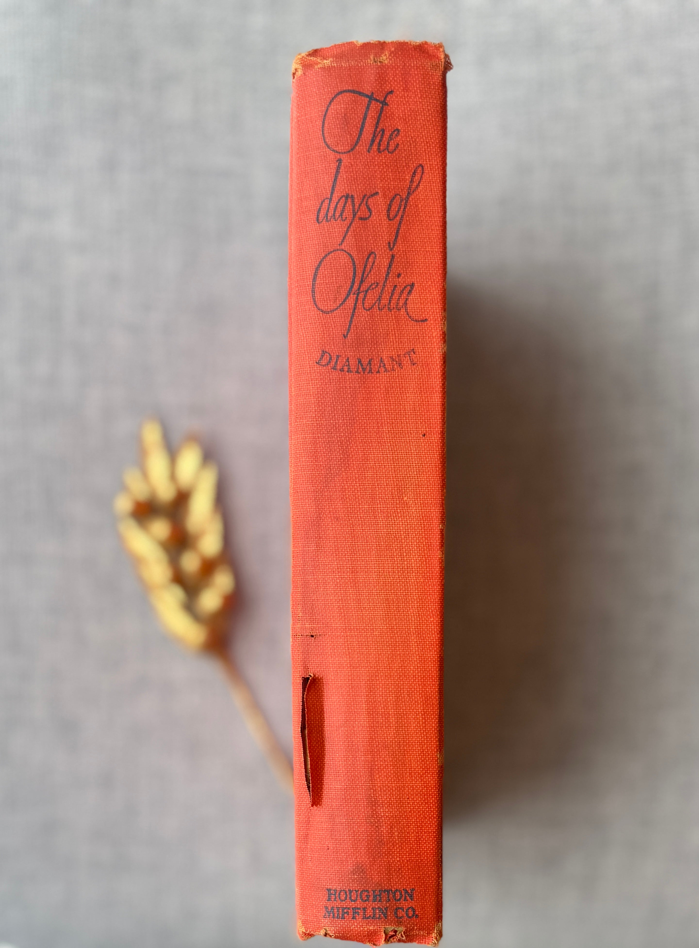 C1-48 The Days of Ofelia