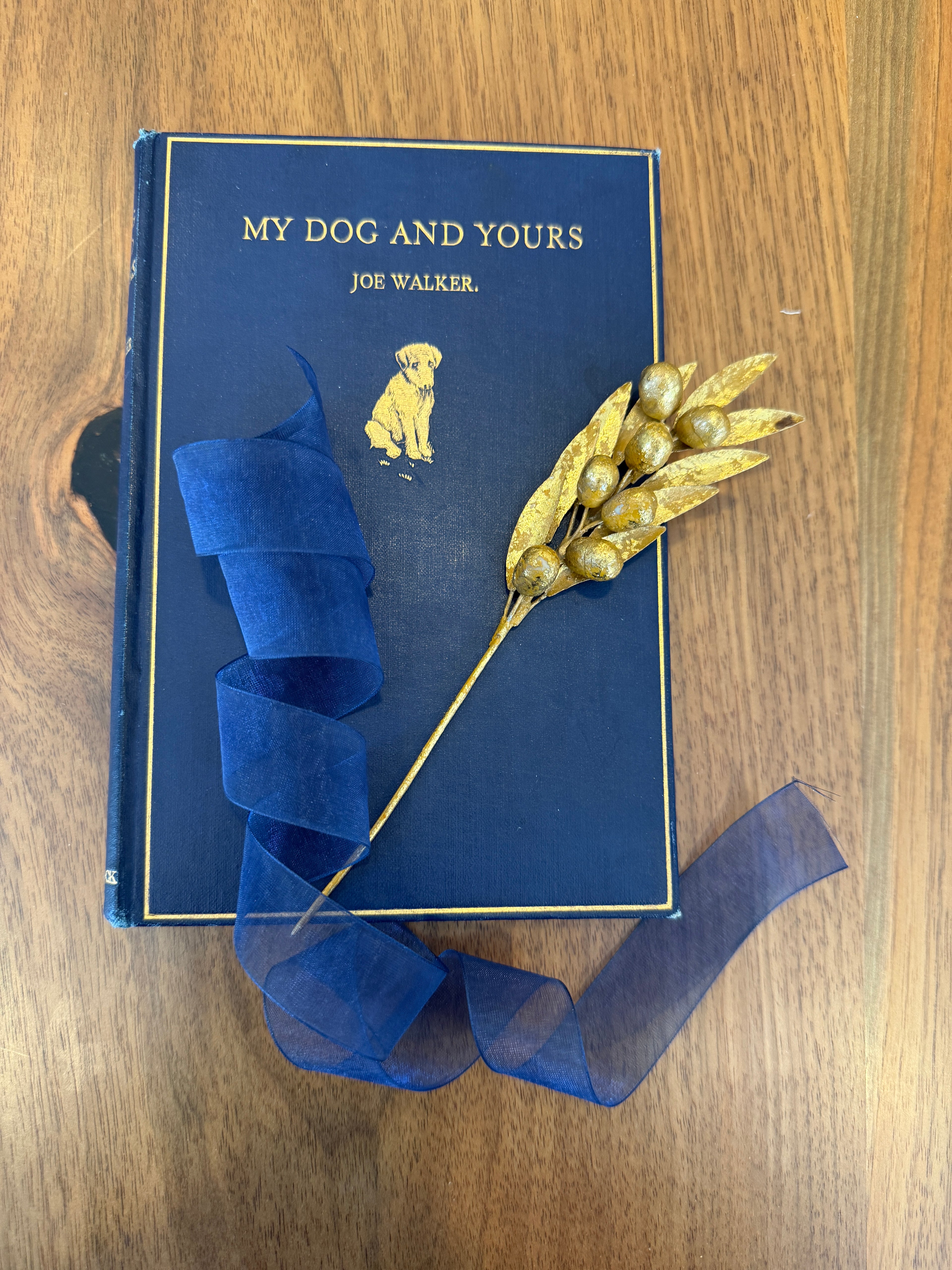 Custom 12 - My Dog and Yours