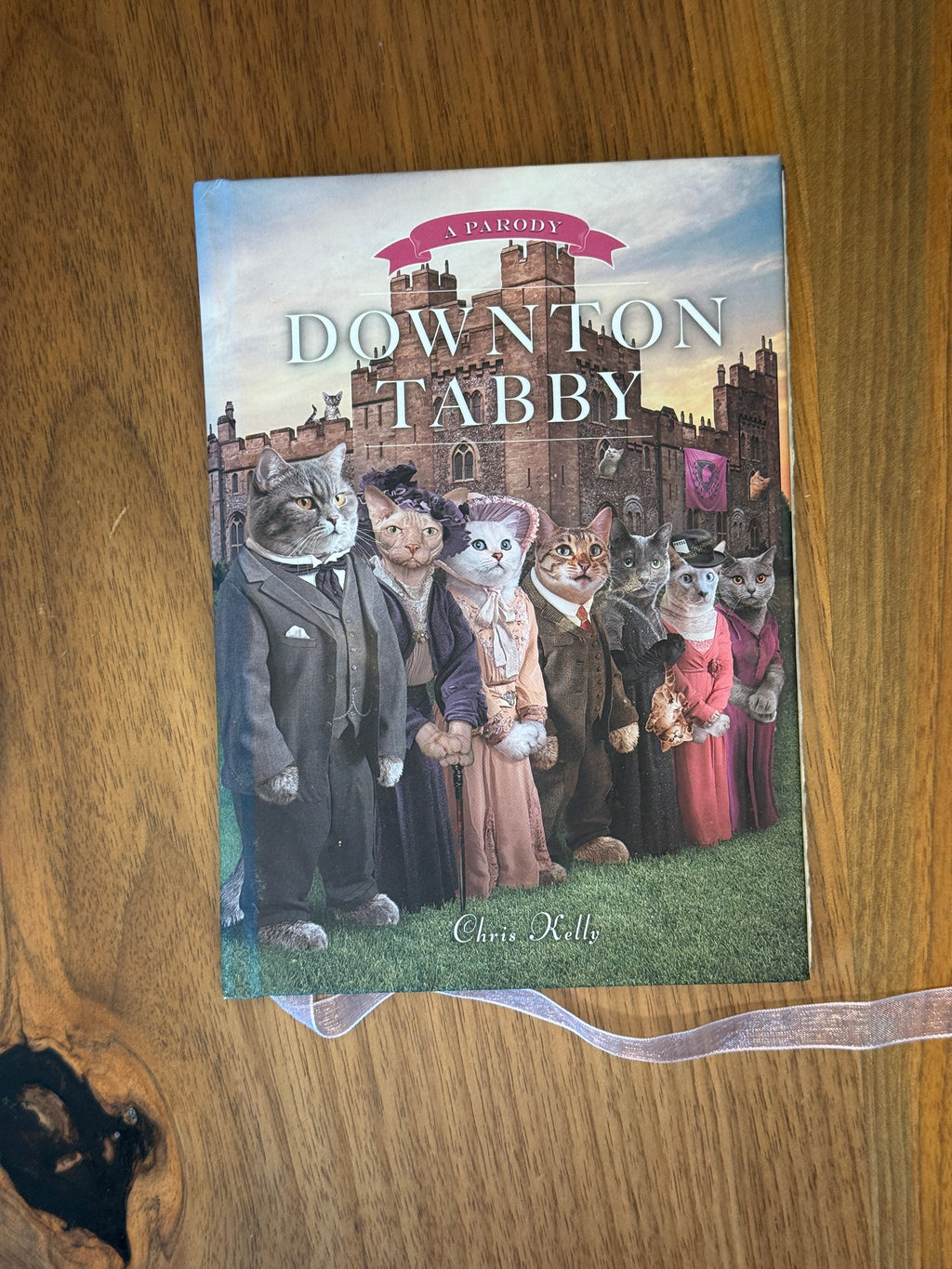 B3 - 02 Downton Tabby - 2013 - Arches