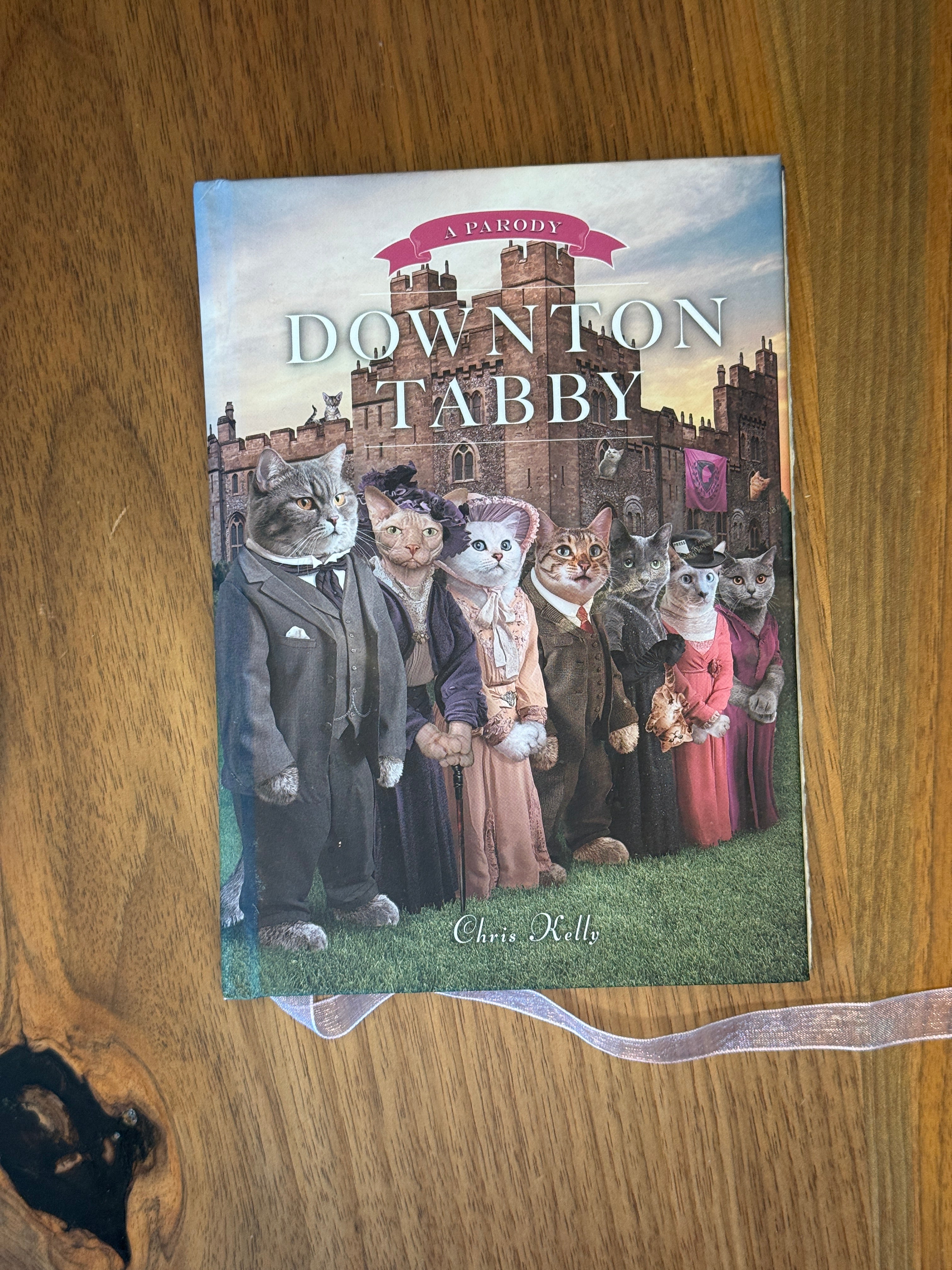B3 - 02 Downton Tabby - 2013 - Arches
