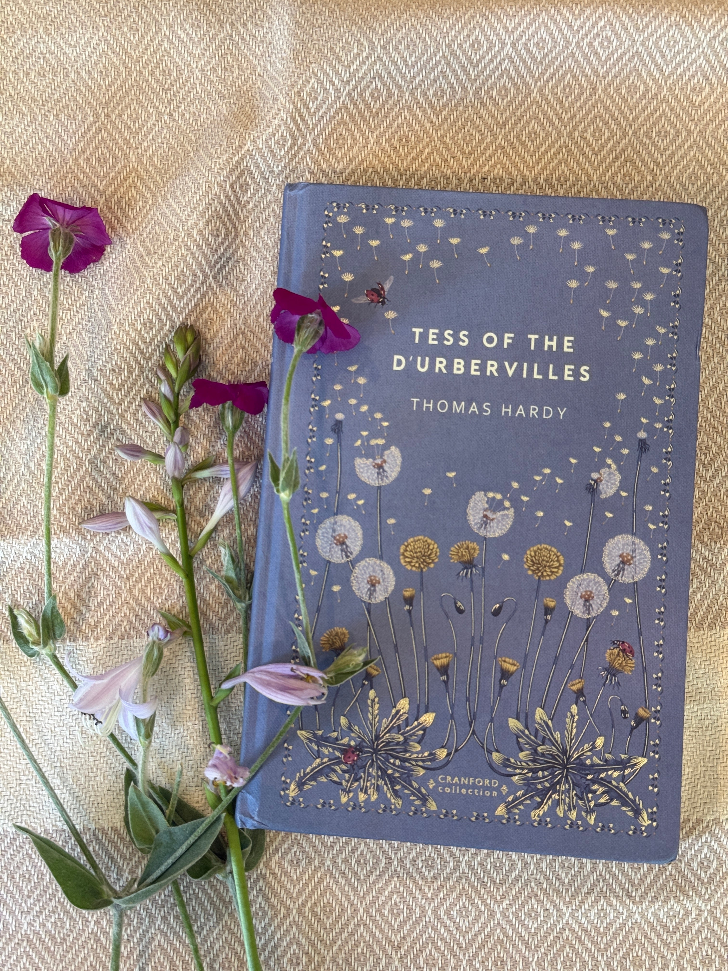 C3 - 22 Tess of the D’Urbevilles